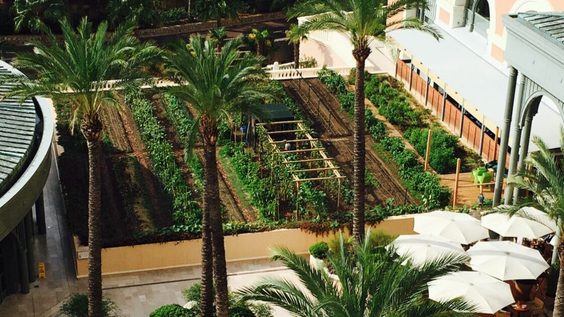terre-monaco