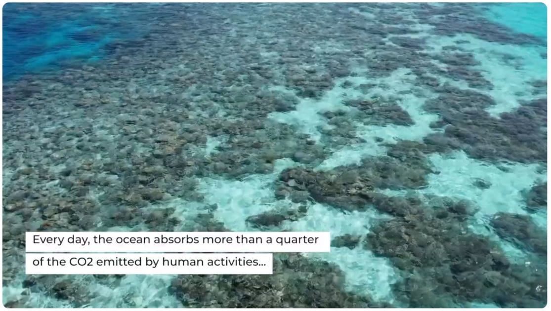 co2-and-the-ocean