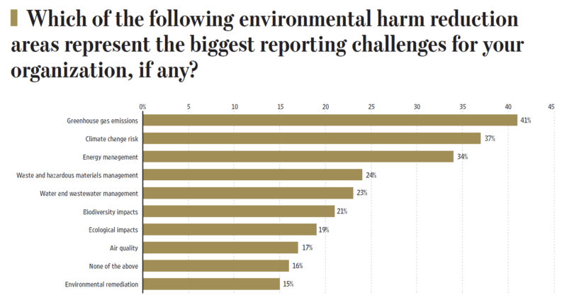 Which environmental areas are the biggest reporting challenges?