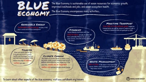 What is the Blue Economy Infographic World Bank opt