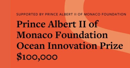 Foundation Prince Albert platform featured 1200x630 opt