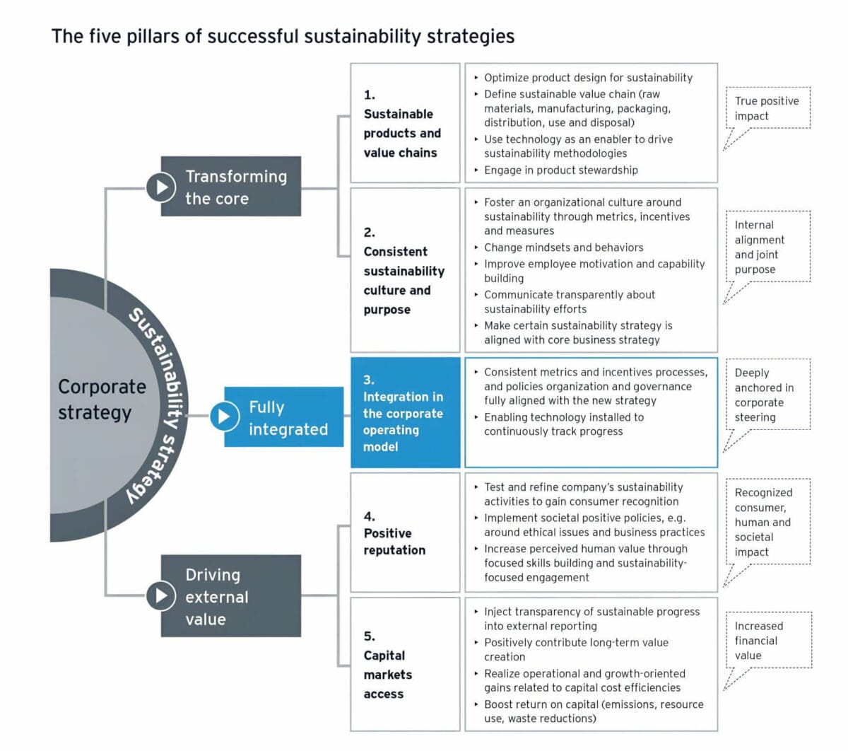 5 pillars of sustainability strategies EY opt