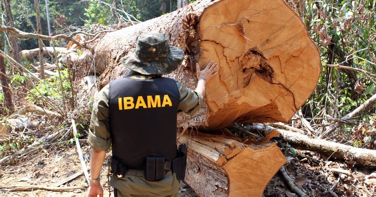 deforestation law featured 1200x630 opt