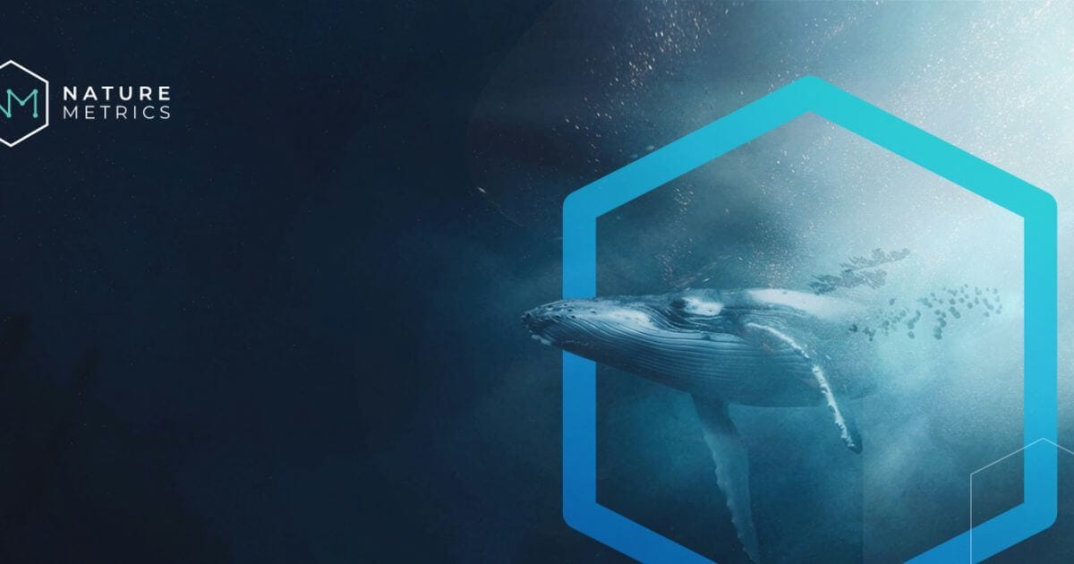 FPA2 and MOnaco Asset Management ReOcean Fund opt