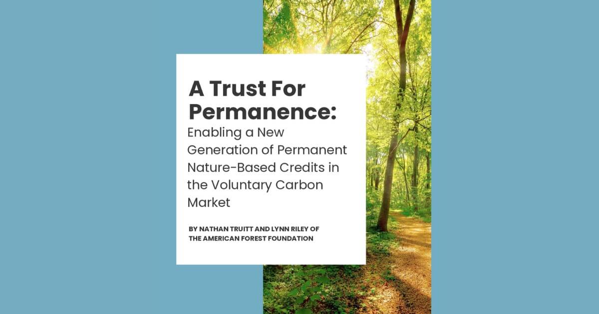 American Forest Foundation 1200x630 opt